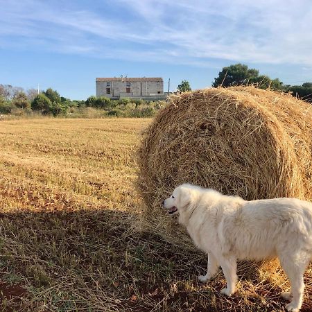 Agriturismo La Palascia Masseria Agreste Otranto Ngoại thất bức ảnh