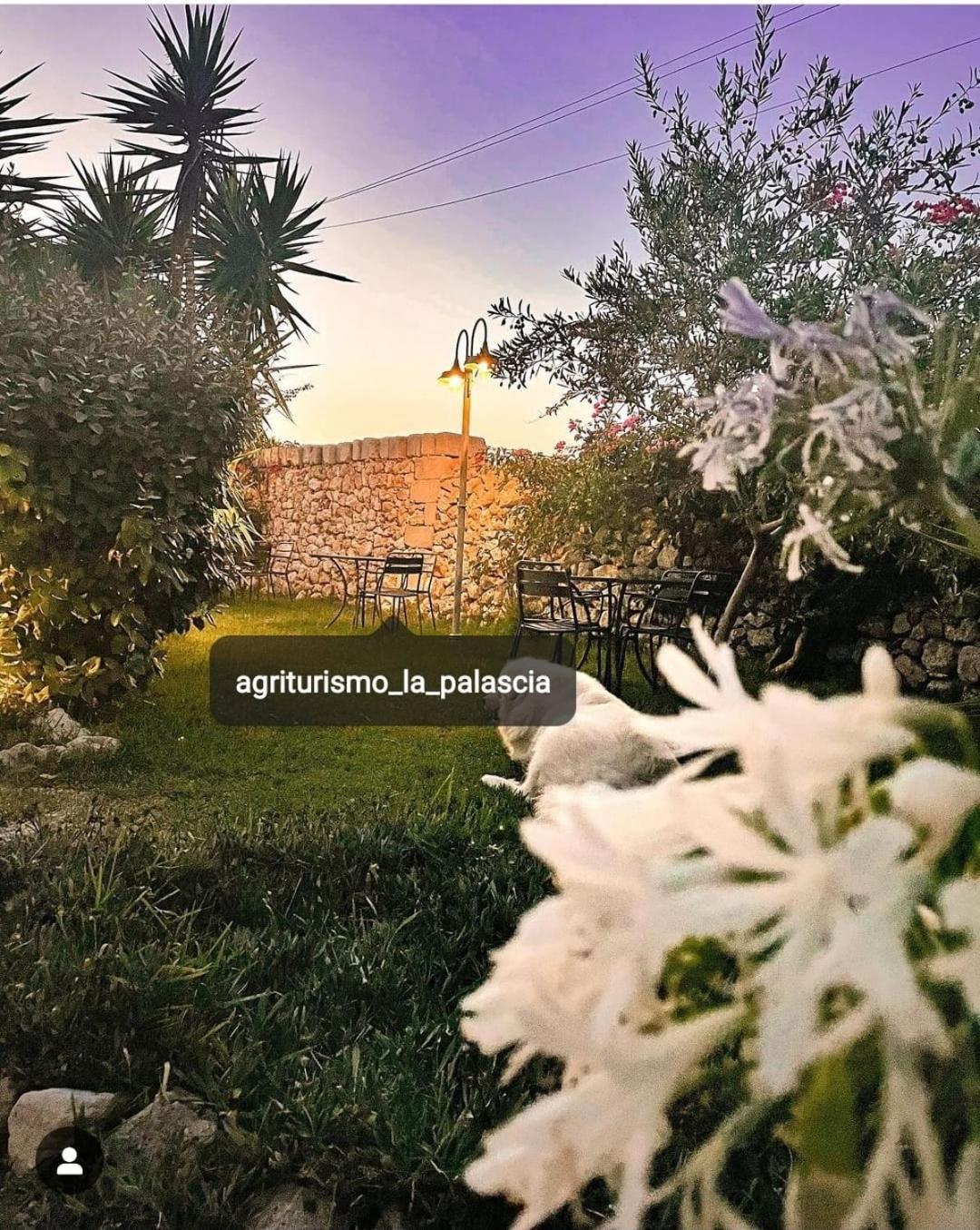 Agriturismo La Palascia Masseria Agreste Otranto Ngoại thất bức ảnh