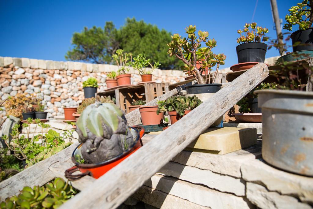 Agriturismo La Palascia Masseria Agreste Otranto Phòng bức ảnh