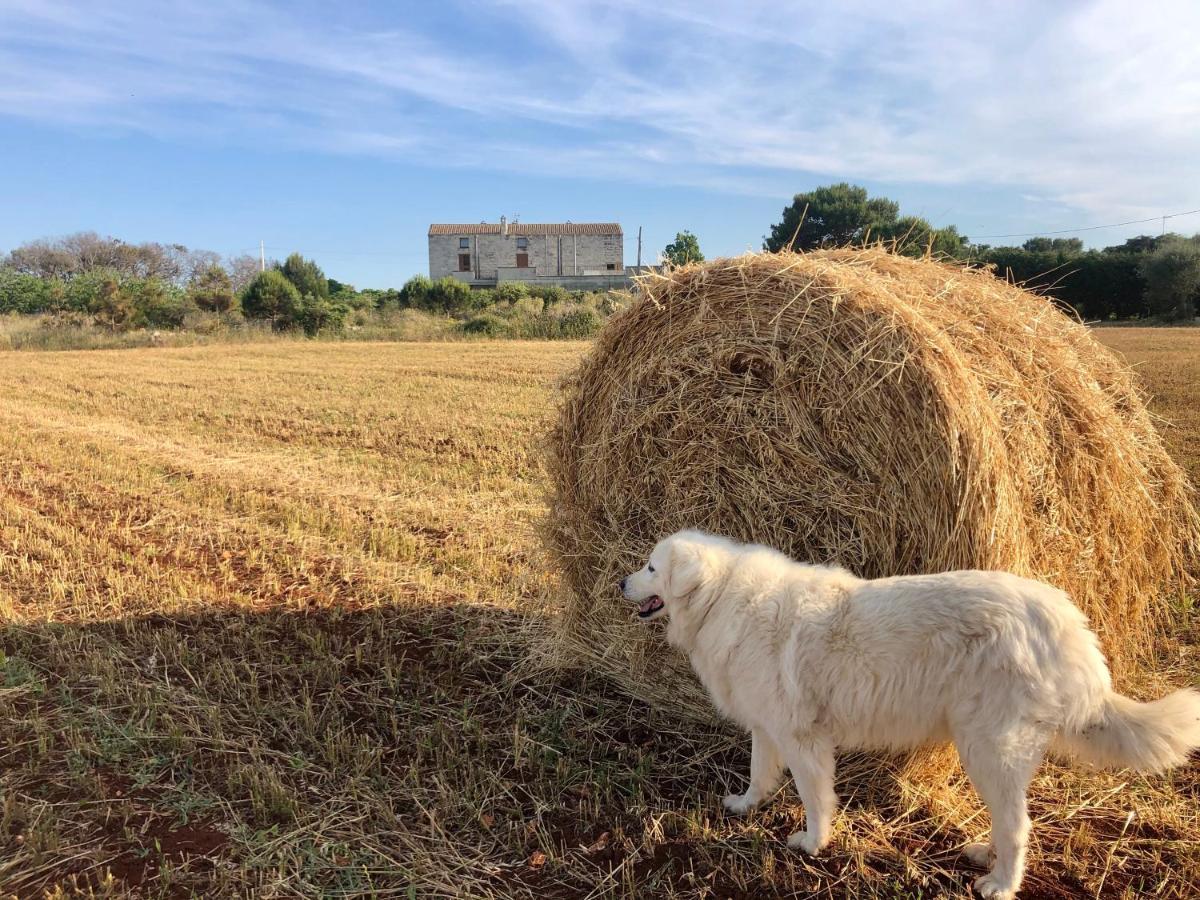 Agriturismo La Palascia Masseria Agreste Otranto Ngoại thất bức ảnh